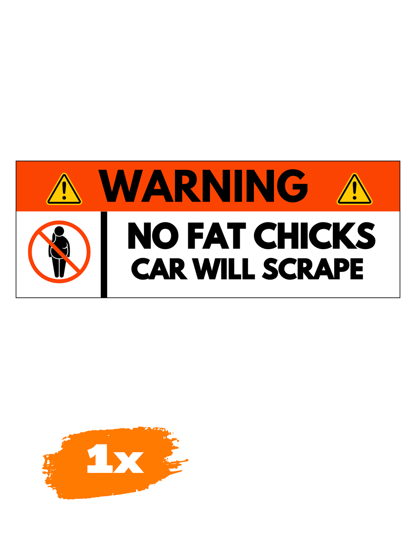 1x NO FAT CHICKS / MAGNETSCHILD 🧲